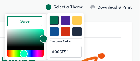 pitch theme selection.png