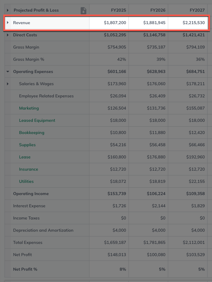 P&L revenue line highlighted.png