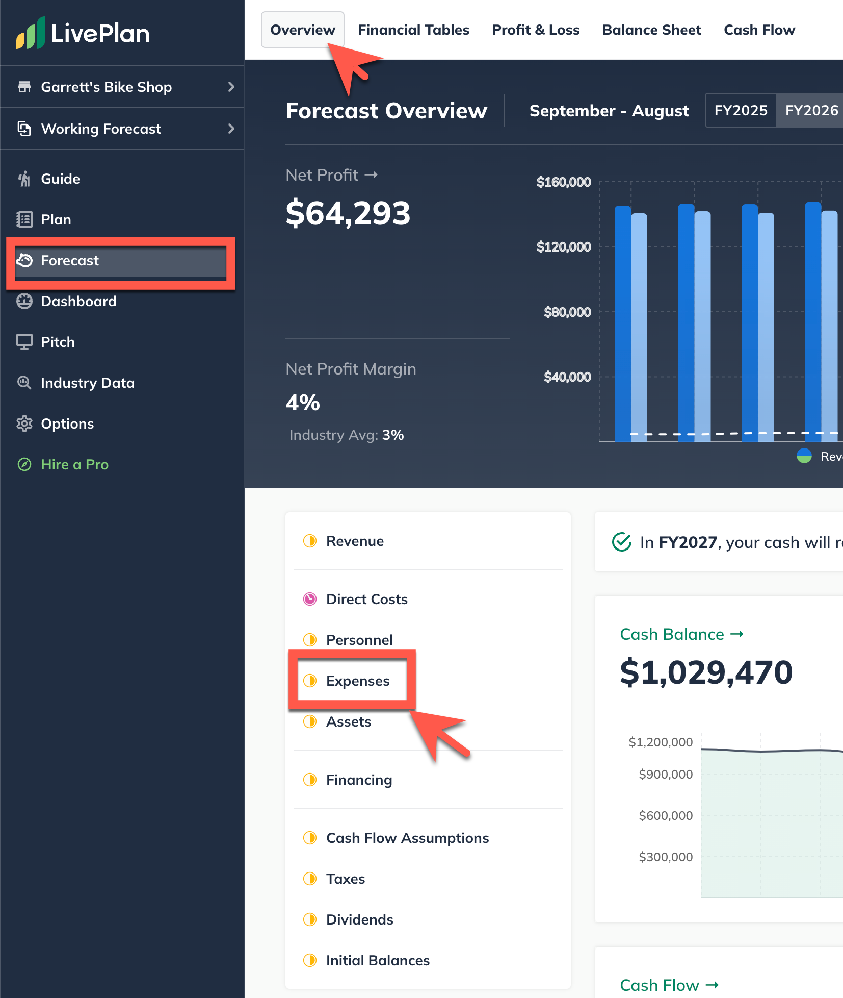 forecast tab expenses highlighted.png