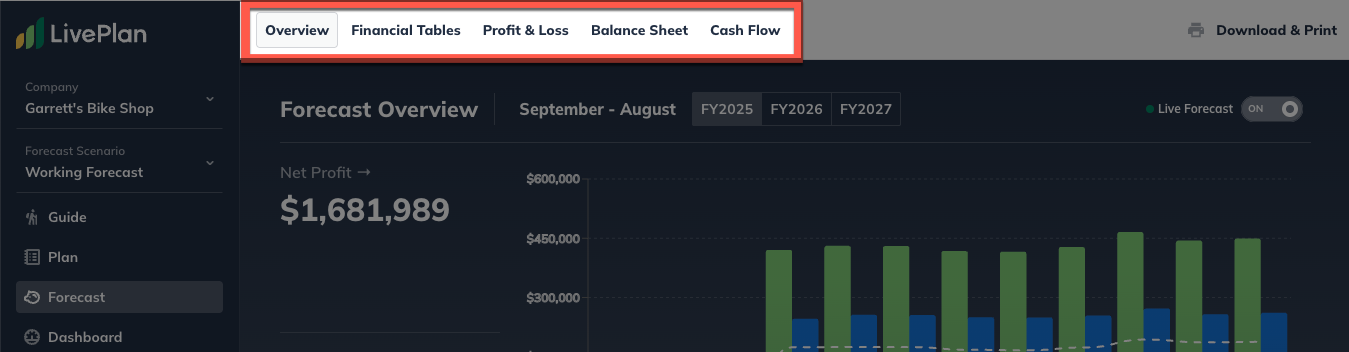 forecast financial tables highlight.png
