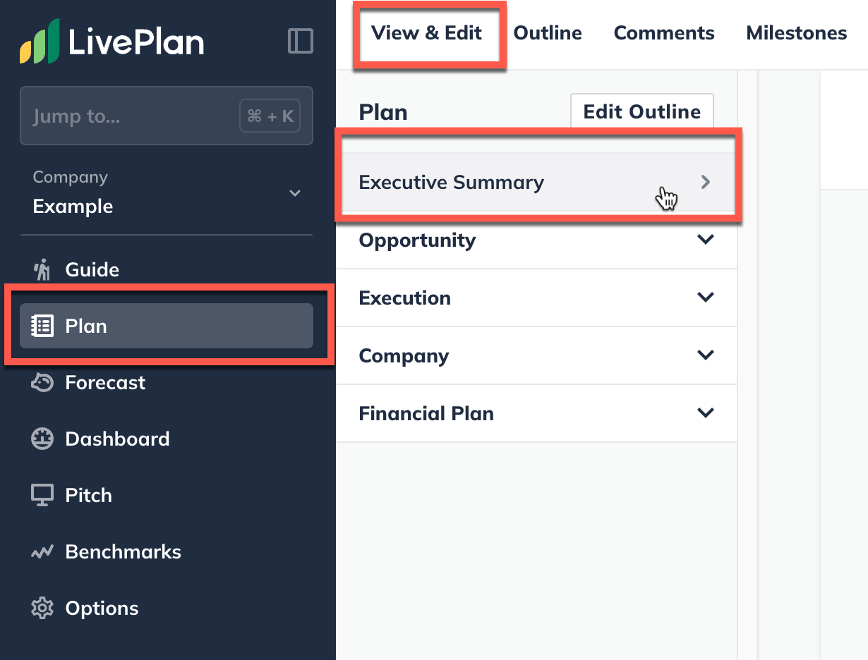 plan section view and edit with exectuive summary highlighted.png