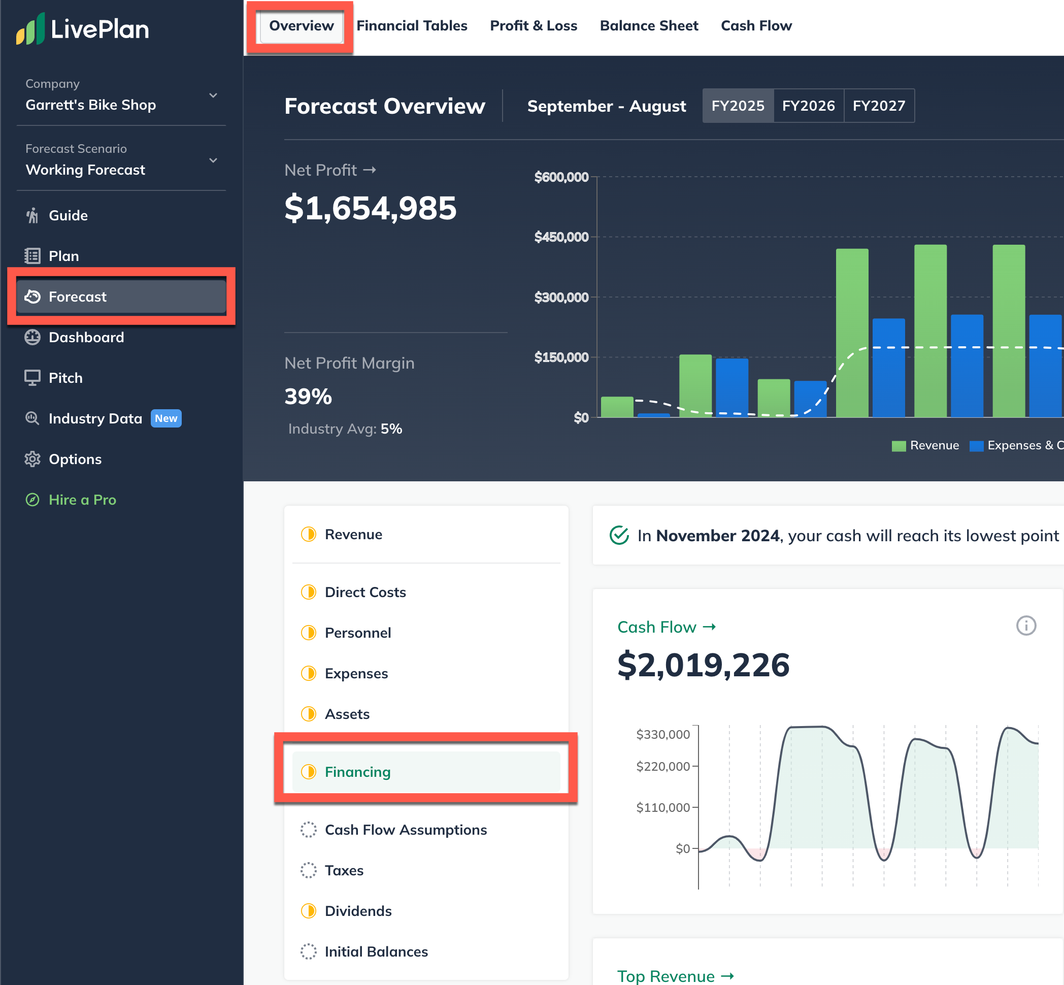 forecast overview financing highlighted.png