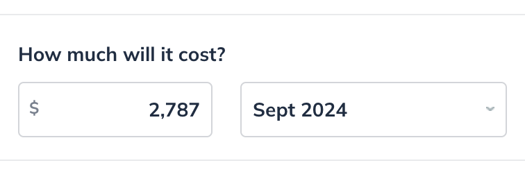 expense amount one time detail.png