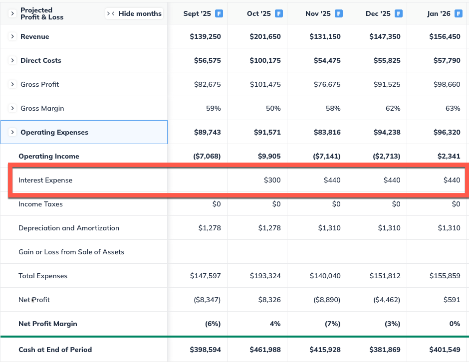 P_and_L_interest_expense_highlighted.png